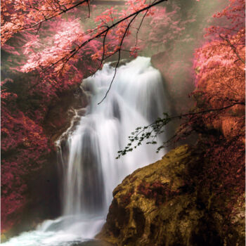 Photography titled "Rêverie" by Stéphane Alacoque, Original Artwork, Digital Photography