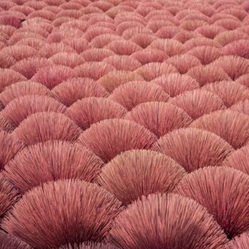 Fotografía titulada "Incense Sticks No.1" por Serge Horta, Obra de arte original, Fotografía digital