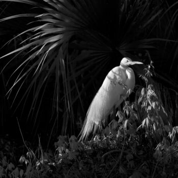 Photography titled "50 Home" by Photospoon, Original Artwork, Digital Photography