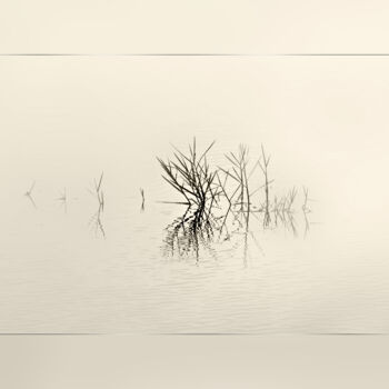 Photography titled "Tranquility" by Photospoon, Original Artwork, Digital Photography