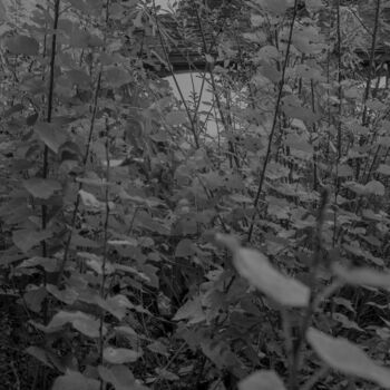 Photographie intitulée "Ni blanc, ni noir 2" par Caroline Piveteau, Œuvre d'art originale, Photographie manipulée