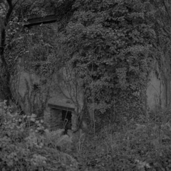 Photography titled "Ni blanc, ni noir 3" by Caroline Piveteau, Original Artwork, Digital Photography
