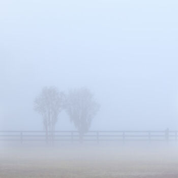 Photography titled "Fog A - set of two" by Photospoon, Original Artwork, Digital Photography Mounted on artwork_cat.