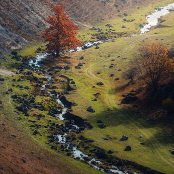 Photography titled "thirst for life" by Oleg Sukhenko, Original Artwork, Digital Photography