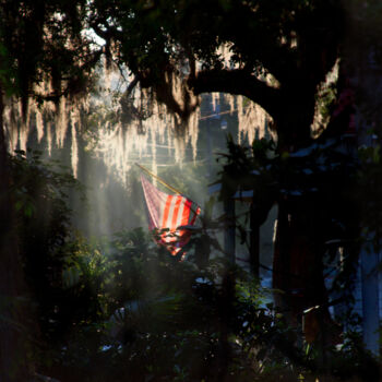 Photography titled "Morning Light" by Photospoon, Original Artwork, Digital Photography