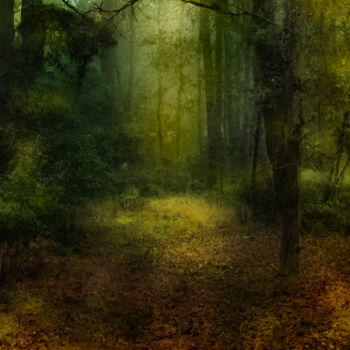 Photography titled "Martha's Path" by Photospoon, Original Artwork, Digital Painting
