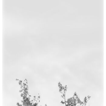 Photography titled "Mist Meadow 2" by Photospoon, Original Artwork, Digital Photography