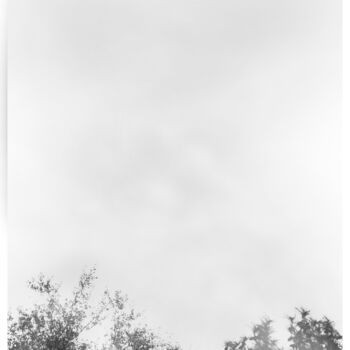 Photography titled "Mist Meadow 1" by Photospoon, Original Artwork, Digital Photography