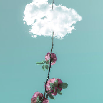 Arts numériques intitulée "A Rose Branch With…" par Michael Lomiya, Œuvre d'art originale, Photographie argentique