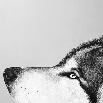 Printmaking titled "Lupo con farfalla" by Davide Capriata, Original Artwork, Digital Print