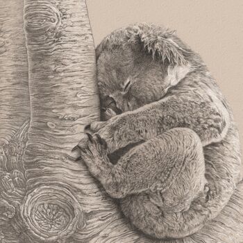 Digital Arts με τίτλο "Koala" από Jean-Pierre David, Αυθεντικά έργα τέχνης, Χαρακτική