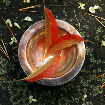 Photography titled "Naumkeg silver bowl…" by Ted Morrison, Original Artwork, Analog photography