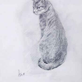 Drawing titled "Kaveri the Tabby Pe…" by Asha Sudhaker Shenoy, Original Artwork, Pencil