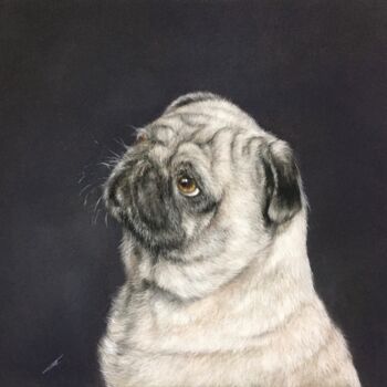 Dessin intitulée "Pug" par Irene_art, Œuvre d'art originale, Pastel