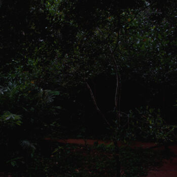 摄影 标题为“Hidden Trees I (fro…” 由Junus Aspassi, 原创艺术品, 数字打印 安装在有机玻璃上