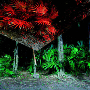 Photographie intitulée "MEXICO E2" par Le Bog, Œuvre d'art originale, Photographie numérique Monté sur Aluminium