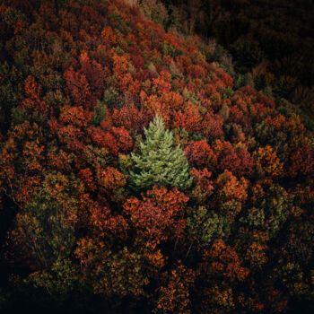 Photographie intitulée "Vertige #11" par Loïc Cancade, Œuvre d'art originale, Photographie numérique