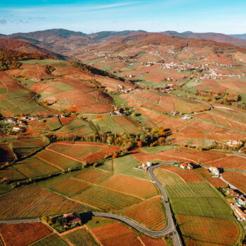 Photographie intitulée "Vigne du Beaujolais" par Loïc Cancade, Œuvre d'art originale, Photographie numérique