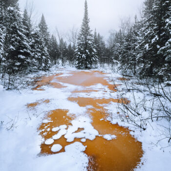Photographie intitulée "Marais du nord" par Loïc Cancade, Œuvre d'art originale, Photographie numérique