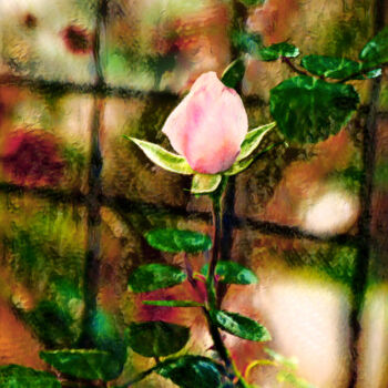 Photography titled "Windowpane Rose" by Photospoon, Original Artwork, Digital Painting