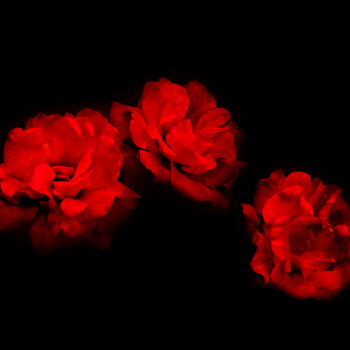 Photography titled "Three Red" by Photospoon, Original Artwork, Digital Photography