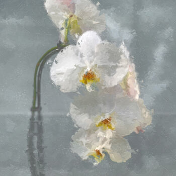 Digital Arts titled "White Orchids" by Photospoon, Original Artwork, Digital Painting