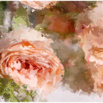 Digital Arts titled "Resting Rose Face" by Photospoon, Original Artwork, Digital Painting