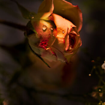 Photography titled "Dark Daughter 1" by Photospoon, Original Artwork, Digital Photography