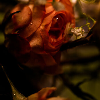 Photography titled "Dark Daughter 2" by Photospoon, Original Artwork, Digital Photography
