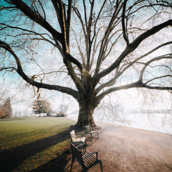 Photographie intitulée "Mystica #16" par Loïc Cancade, Œuvre d'art originale, Photographie numérique