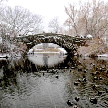 Fotografía titulada "Central Park - Snow…" por Ken Lerner, Obra de arte original, Fotografía digital