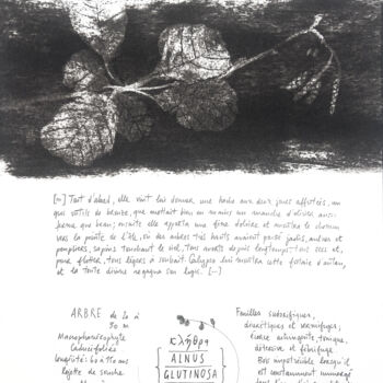Dessin intitulée "ALNUS GLUTINOSA" par Gaele Flao, Œuvre d'art originale, Fusain Monté sur Panneau de bois