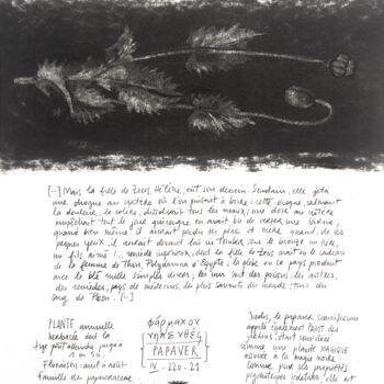 Dessin intitulée "PAPAVER" par Gaele Flao, Œuvre d'art originale, Fusain Monté sur Panneau de bois