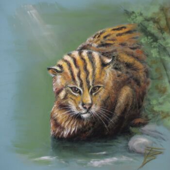 Dessin intitulée "Chat Viverrin" par Isabelle Blanc, Œuvre d'art originale, Pastel Monté sur Carton