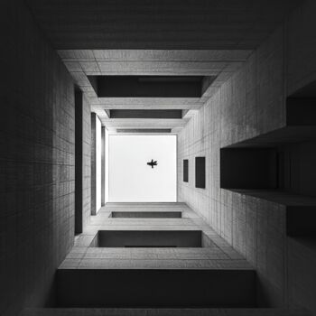 Digital Arts titled "Dance of Falling" by Andy Ridder, Original Artwork, AI generated image