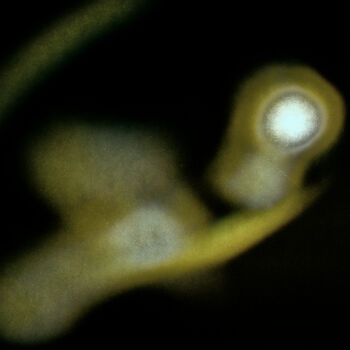 Fotografie getiteld "Fragments of Light…" door Redrumstudio, Origineel Kunstwerk, Digitale fotografie