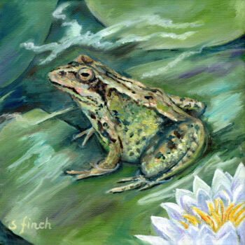 제목이 "Spirit of Frog"인 미술작품 Sonia Finch로, 원작, 기름 나무 들것 프레임에 장착됨