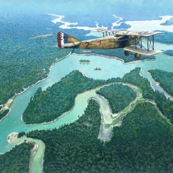 Pittura intitolato "Spadamazonie" da Passionavion, Opera d'arte originale, Gouache