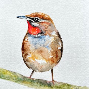 "Rubytroat sibérien…" başlıklı Tablo Claire Hamant tarafından, Orijinal sanat, Suluboya