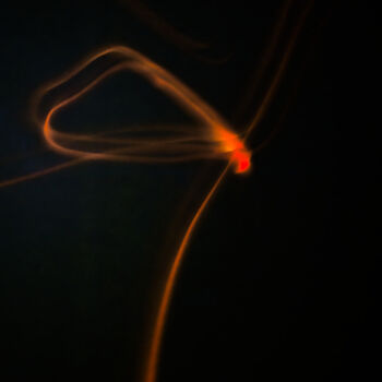 제목이 "Butterfly on a blad…"인 사진 Redrumstudio로, 원작, 디지털