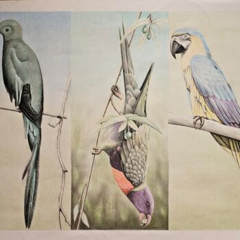 Peinture intitulée "Three Birds, One Me…" par Filipe Jardim, Œuvre d'art originale, Crayon