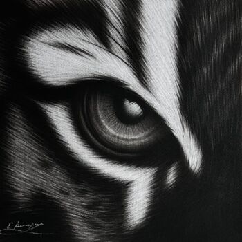 Disegno intitolato "Eye of the tiger" da Evgenia Kiperiya, Opera d'arte originale, Carbone