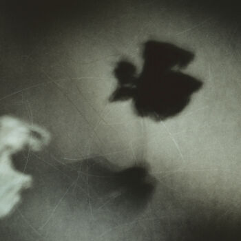 Fotografia intitolato "Black Flower (3458)" da Redrumstudio, Opera d'arte originale, Fotografia digitale