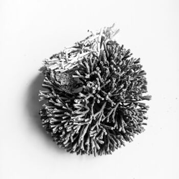 Photographie intitulée "Ephemeral Embrace s…" par Sanzhi Chieh, Œuvre d'art originale, Photographie numérique