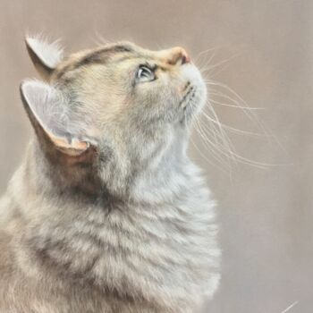 Drawing titled "Observer" by Irene_art, Original Artwork, Pastel