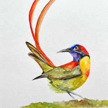 Peinture intitulée "Oiseau soleil à que…" par Claire Hamant, Œuvre d'art originale, Aquarelle