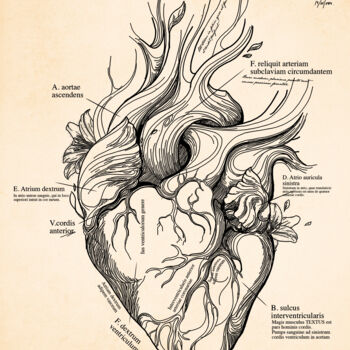 Drawing titled "Heart in Leaves and…" by Rafael Castillo Guillén, Original Artwork, Ink Mounted on Other rigid panel