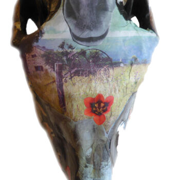 Sculptuur getiteld "Cheval" door Tessa Meijer, Origineel Kunstwerk, Acryl