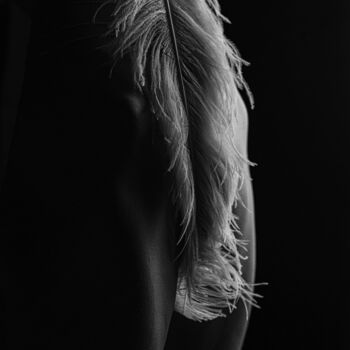 Feather V