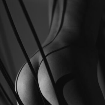 Soft Lines IV